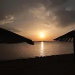 Blue Sunrise فرسي